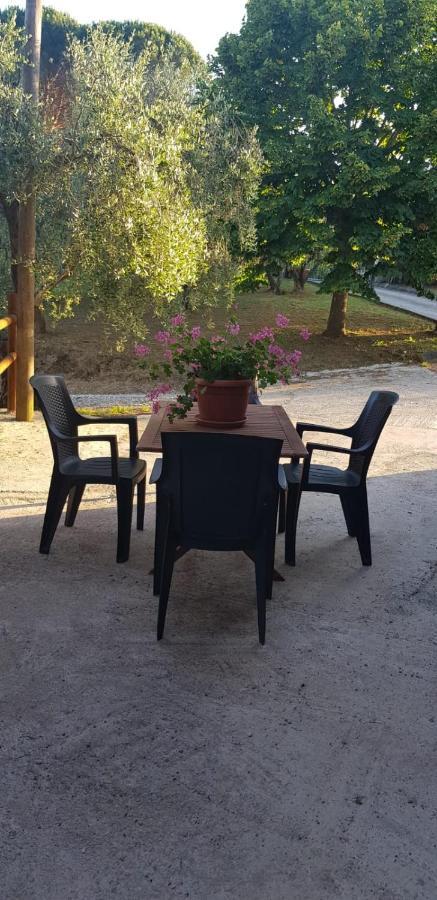 Il Fienile Villa Santa Maria a Monte Exteriör bild